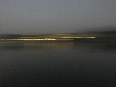 サバのなめろうが食べたくて！