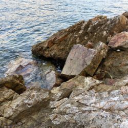 久しぶりの釣果