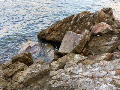 久しぶりの釣果