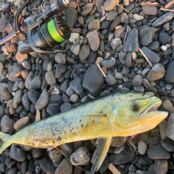 夏の終わりも近い