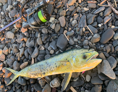 夏の終わりも近い