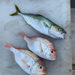 真夏のマイボート釣行