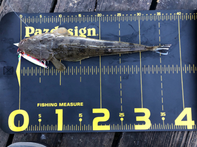 約1か月ぶりの釣行‼️