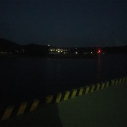 小さいイワシがいい餌になってくれました!