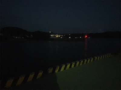 小さいイワシがいい餌になってくれました!