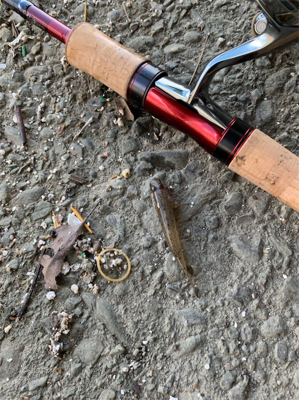 ハゼと手長エビ