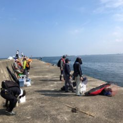 毎投当たりあり!沖の北 カワハギ爆釣果