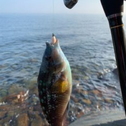 フロート　ガシリング&ベリング