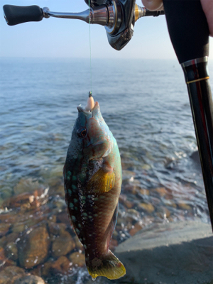 フロート　ガシリング&ベリング