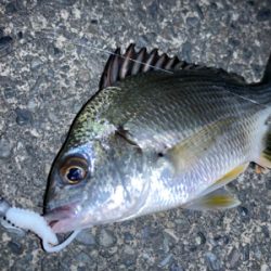 マイクロチニング