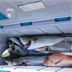 テンヤとジギング