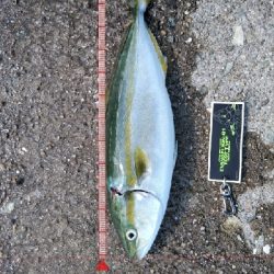 暑いけど粘れば何とか