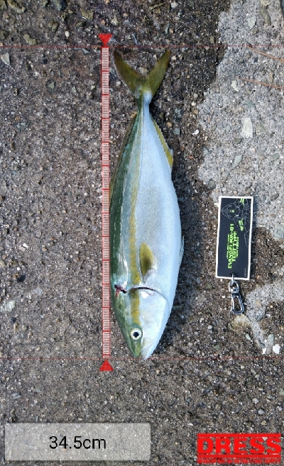 暑いけど粘れば何とか