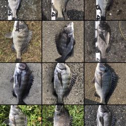 イチノ兄弟、釣果！