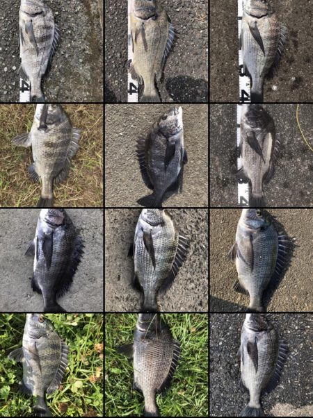 イチノ兄弟、釣果！