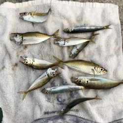 久しぶりの無風