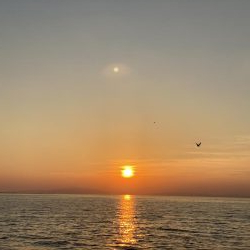 やっと釣れたけど、、