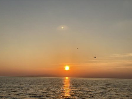 やっと釣れたけど、、