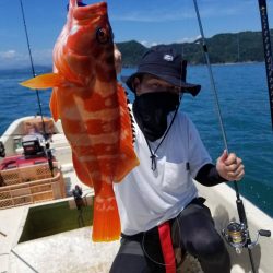 オフショア釣果投稿