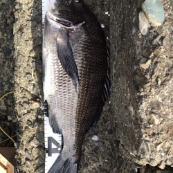 イチノ兄弟、釣果！