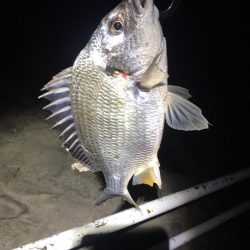 淀川のチニングパート2