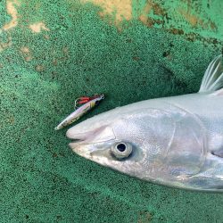 ポイントがちがいますよ