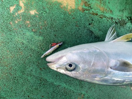 ポイントがちがいますよ