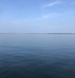 朝イチ のちサバサバサバ