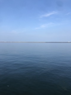 朝イチ のちサバサバサバ