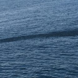 まだまだ修行。