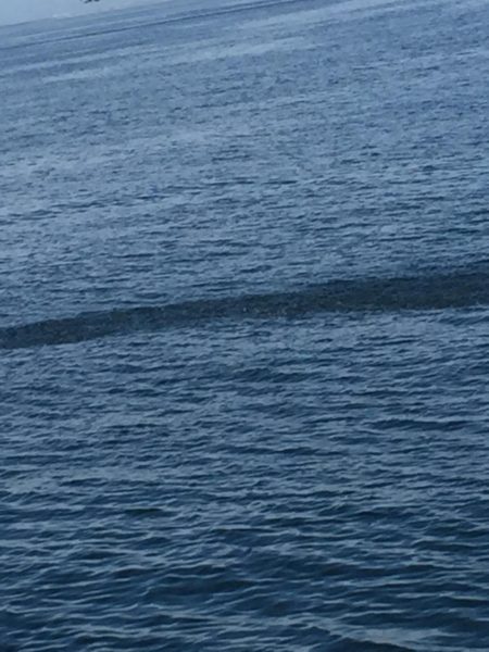 まだまだ修行。