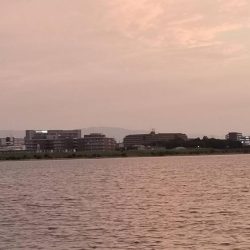 ボラに引っ張ってもらいました。チニングに行ったのに。