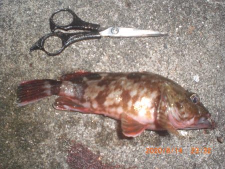 お盆墓参り+釣り