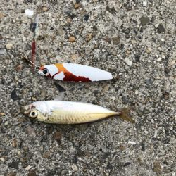 強風とおせんの嫌がらせ