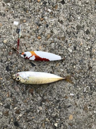 強風とおせんの嫌がらせ