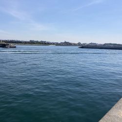 東二見人工島前打ちカサゴカンダイ