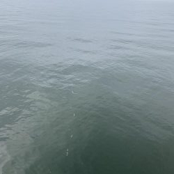 小物〜大物狙い