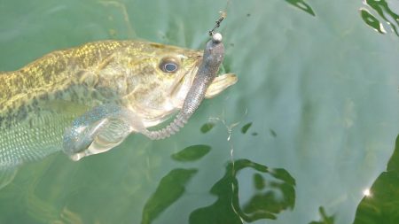 表層ではかなり渋くなってきました