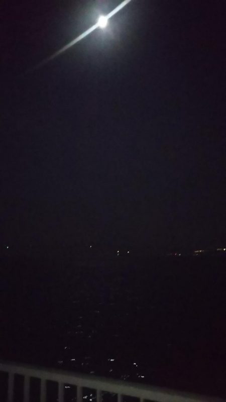 ケンサキ始めました