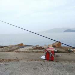 苅屋でキス釣り