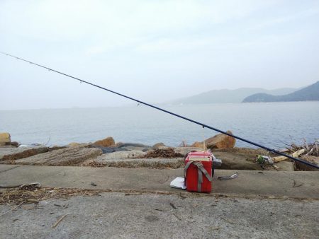 苅屋でキス釣り