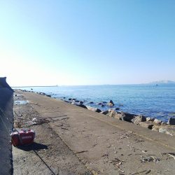 苅屋にキス釣り