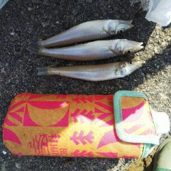 大塩海岸キス釣り