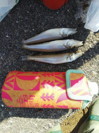 大塩海岸キス釣り