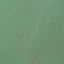 サンデー・ライトゲームｉｎオバマ