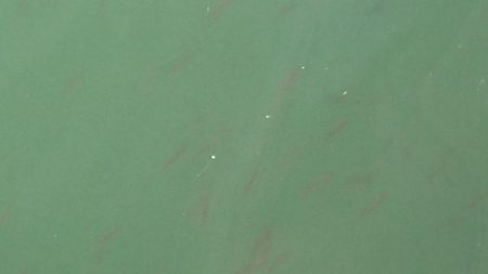 サンデー・ライトゲームｉｎオバマ