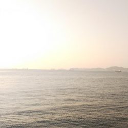 キスのちタチウオ