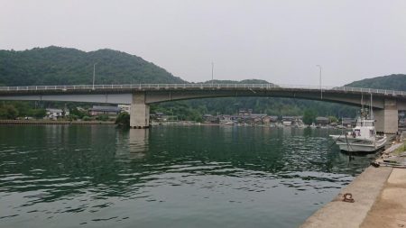 チヌ（カイズ）