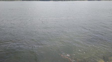 大雨の影響か……？