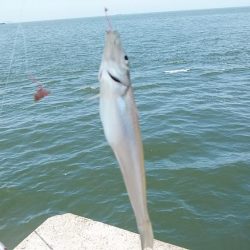 高砂初ポイント釣行